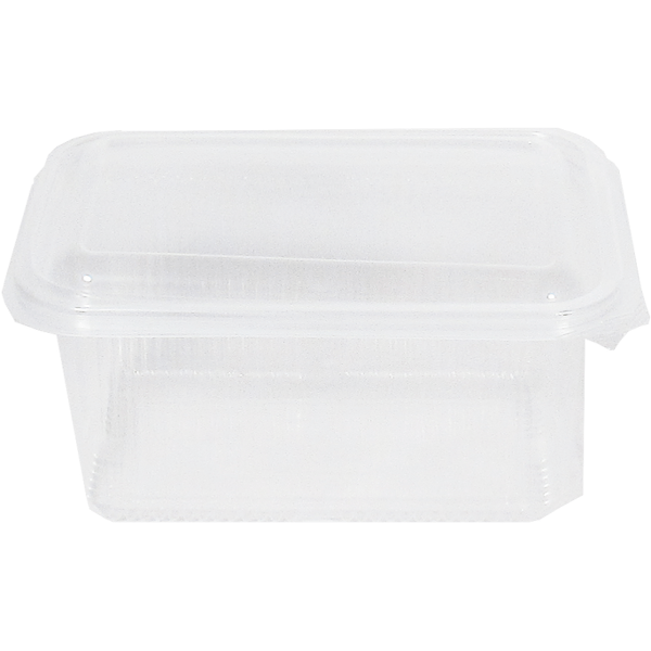 PP tray with hinged lid